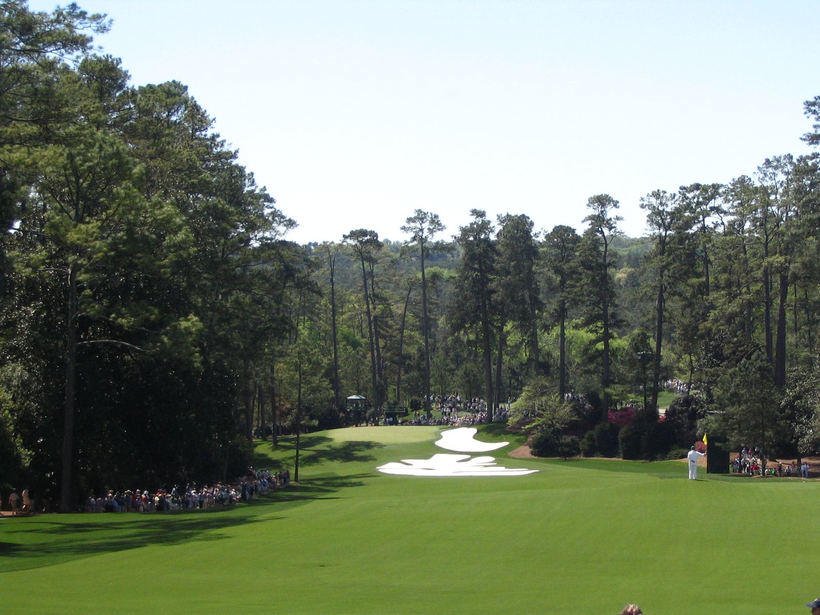 The 10th hole at Augusta National Golf Club framed by tall pines