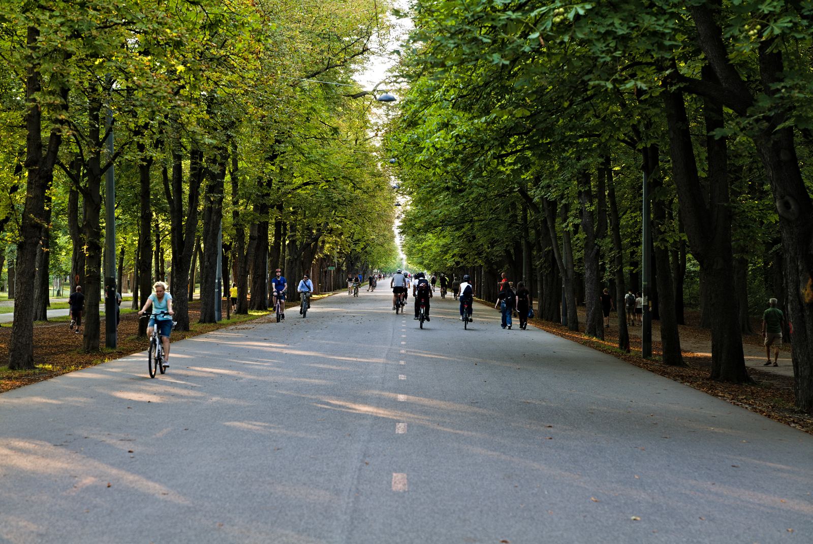 The long tree-lined Hauptallee avenue in Vienna's Prater park